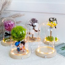 바보사랑 LED 감성 원목 유리돔 무드등 7종 프리저브드 꽃 부케 결혼 여자 친구 생일 선물.라임블러썸, LED레인보우장미