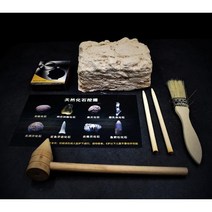 암모나이트화석 발굴키트 유물 발굴 화석 키트 고대유물 세트, 8종 발굴