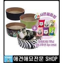 새끼고양이키우기 고양이용품 고양이스크래치 고양이스트레스 고양이기르기 스크레쳐 스크래쳐 고양이물품