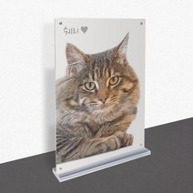 모노치 반려동물 초상화 강아지 고양이 그림 탁상용 아크릴액자 반려견 반려묘 선물, A4 (210x297mm), 04. 일자형 자석