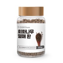 회화나무열매 환 220g 1병 괴곽분말 루틴 제니스테인 중년여성 갱년기좋은식품, 1개