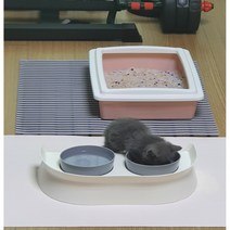 새끼 고양이 식기 식수기 수반 아기 냥냥이 수반 어린 야옹이 밥그릇 물그릇, 화이트