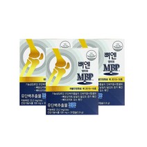 뼈앤mbp 130mg x 30캡슐(1개월분) 유단백추출물 뼈건강 관절건강, 3개, 30정