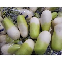 <도도> 싱싱한 제주 무 5kg 10kg 18kg#품질보증#, 10kg (6~8수)” class=”wr-img”></a></div></div></div></div><div class=