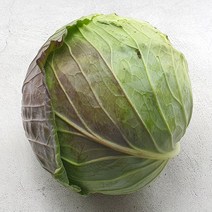 산지직송 국내산 양배추 5kg 13kg 혀니러쉬, 01_양배추5kg내외
