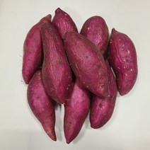 2022년 꿀밤고구마 꿀고구마 베니하루카3kg 5kg 10kg, 10kg중상품(110~170g), 1개