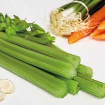 [생파슬리] 야채왕 이태리파슬리 1kg 향나물