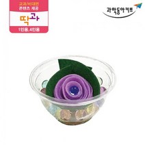 고흡습성 수지 천연 가습기 만들기 4인 과학기자재 어린이집교구 과학용품 과학실험교구 과학실험용 초등