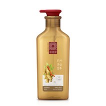 동의홍삼 두피 딥클렌징 진저 홍삼 샴푸, 1개, 500ml