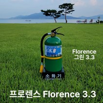 칼라소화기 그린 3.3kg ABC 분말소화기 가정용 업소용