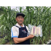 손질한 햇 찐 삶은 찰옥수수 흑찰 미백 백찰 오색 옥수수 특 10개입 20개입 진공포장, 삶은 찰옥수수 20개입