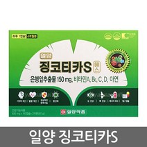 일양약품 징코티카S 120캡슐 / 은행잎추출물 혈행 기억력개선 (사은품 마스크팩), 1개, 60g