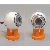 눈모형만들기(1인용/4인용)