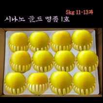 예산명품시나노. 사과여왕 잊지못할 맛 사과의 장점만 한곳에 아삭한식감 특대 제수용 선물용, 1박스, 10kg(28-32과)