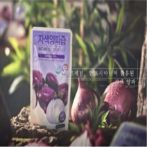 자색양파즙 효능 좋은 적양파즙, 100ml, 30포, 100ml