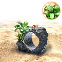 수초-화산석동굴 미니 나나 활착-어항 수족관 수중식물/헬로아쿠아