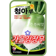 김장 청아 무 씨앗 / 가을 무우 종자 radish seed 소포장 대용량, 30g