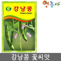 강낭콩 씨앗 2g, 강낭콩꽃