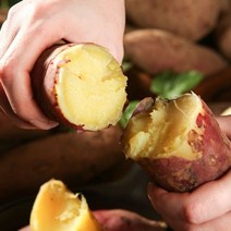 더싱싱 [해남직송] 22년 수확 햇 꿀밤고구마 2kg(특상/100g~300g), FE 꿀밤고구마 2kg(특상/100g~300g)
