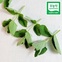민트잎 식용허브 친환경 무농약 허브 애플민트 50g, 모히또용(중간잎) 50g, 1개
