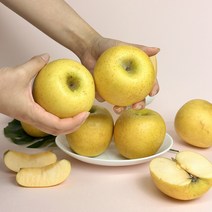 [팜플레이스] 가성비 선물용 아삭달콤한 시나노 스위트 골드 사과, 실속(중대과), 1개, 3kg