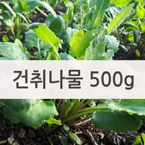 취나물 고성 생취나물 봄나물 산나물, 1박스, 건취나물 500g