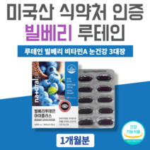식약처인증빌베리 미국산 20대 어린이 루테인 눈영양제 안토시아노사이드