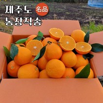제주 고당도 타이백 타이벡 5kg 10kg, 1.황금향 가정용 대과 5kg (15~20과)