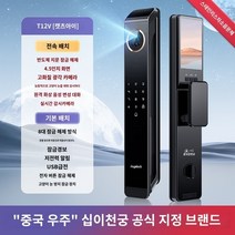 도어락 지문인식 보조키 지문인식기 카드키 스마트 디지털, D.T12V 지문  24시간 실시간 모니터링  비디오