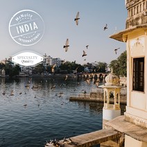 [맥널티 생두] 인도 마드라스 컬렉션 (Washed), 1kg, 1개