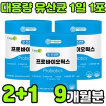 락토바실러스 플란타럼 람노서스 퍼멘텀 가세리 루테리 애시도필러스 멀티 PROBIOTICS 프로이 프로 프리 바이오 틱스 텍스 스틱 분말 가루 온가족 패밀리 부모님 중년 여성 청소년, 3통(9개월분)