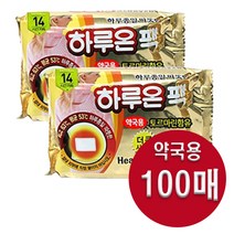 브랜드없음 하루온 핫팩 붙이는 타입 50g, 100개입