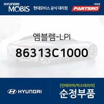 엠블럼-LPI (86313C1000) 현대모비스 부품몰 쏘나타LF 아반떼