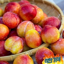 오렌지씨푸드 자두 노지자두 햇자두 1Kg 대과 후무사 대석 피자두, 1개