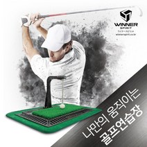 빠른배송 [위너스피릿] 골프 스윙 연습기 [WSI-300] 골프리얼스윙연습기