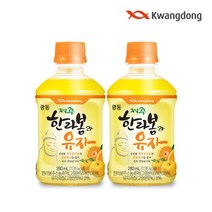 광동 한라봉과 유자 280ml 20입