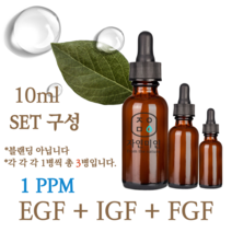 에코문 EGF+FGF+IGF 1ppm 3EA세트-10ml 원액 앰플 에센스, 1개, 10ml