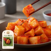 [제일제당] [CJ] 다담 깍두기양념 155g