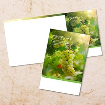 교회주보 예배 주보용지 3단6면 주보지 안내지 전도지 절기 부활절 추수감사 맥추감사 성탄절 신년감사 디자인 기독교용품, EW-13