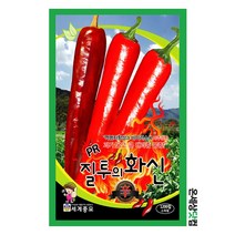 질투의화신 1200립 / 고추씨앗 고추씨 풋고추 고추종자 매운고추 씨앗