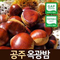 2021년 공주 정안 햇밤 속이 꽉찬 알밤 대보밤 칼집밤 옥광밤 2kg 특대, 4. 옥광밤(중) 2kg