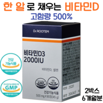 닥터루템 비타민D 2000IU 고함량 500% 비타민D 건조효모 셀렌 건강기능식품, 2박스(6개월분)