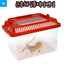 힘찬쇼핑_ 곤충채집통 곤충채집 파충류채집 채집통 잠자리통 도마뱀통 작은사이즈 학습용 도마뱀 키우기 손잡이형 곤충채집, 랜덤발송, 1개