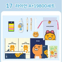 카카오프렌즈 A+ 문구세트, 19800라이언, 1개