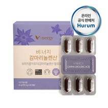베러헬시 달맞이꽃종자유 혈행개선 영양제 생리통 콜레스테롤 개선 보라지꽃 PMS, 1개, 240캡슐