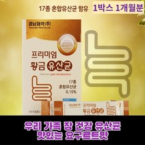 락토바실러스 플랜타룸 가세리 불가리쿠스 장 건강 프락토 올리고당 맛있는 요구르트맛 분말 튼튼 우리 가족 어린이 청소년 남성 여성 17종 유산군유산균, 2개
