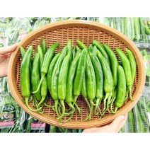 산지직송 당일수확 건강하게 키운 그린 풋고추, 2kg, 1개