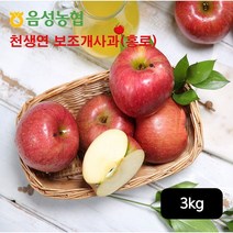 농협 음성농협 천생연 보조개사과 3kg, 1개