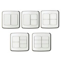 진흥전기 라피네 2개용 2구 3구 4구 5구 6구 스위치, 2구스위치