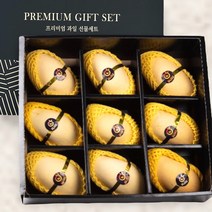 [고급 포장] 망고 과일 선물 세트, 1박스, 골드망고세트 (9과)